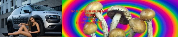 бошки Верея