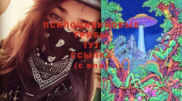 шишки Волоколамск