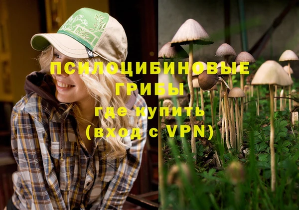 шишки Волоколамск